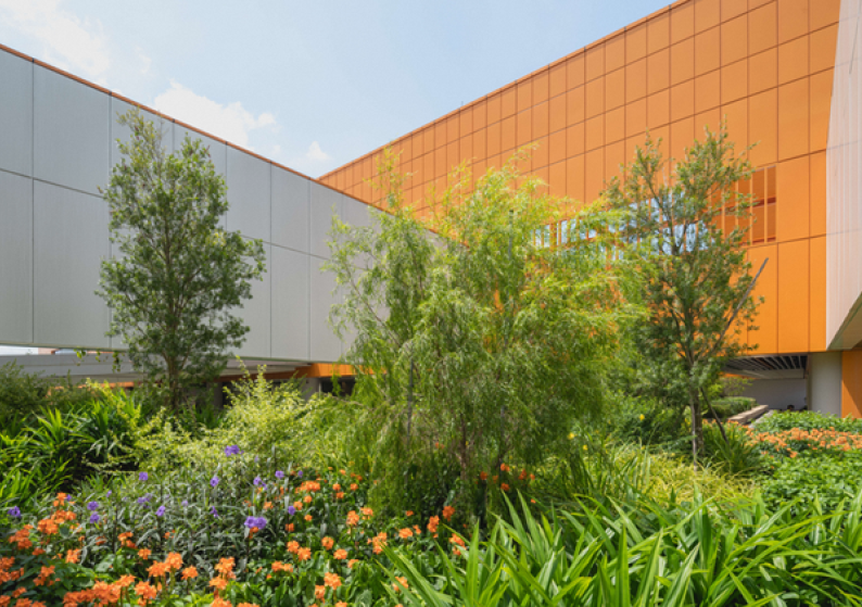 Roof Garden at Punggol one